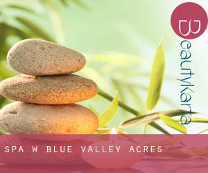 Spa w Blue Valley Acres