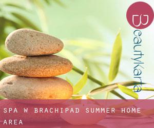 Spa w Brachipad Summer Home Area