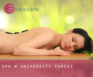 Spa w University Forest