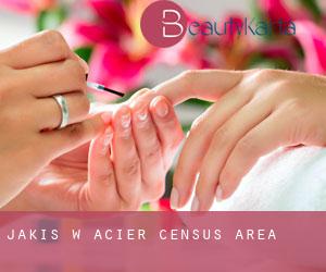 Jakis w Acier (census area) Jakis w Acier (census area)