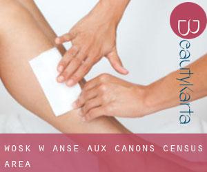 Wosk w Anse-aux-Canons (census area)