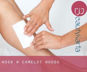Wosk w Camelot Woods
