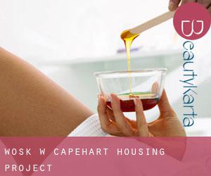 Wosk w Capehart Housing Project