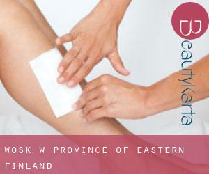 Wosk w Province of Eastern Finland