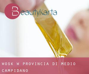Wosk w Provincia di Medio Campidano Wosk w Provincia di Medio Campidano