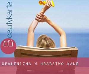 Opalenizna w Hrabstwo Kane Opalenizna w Hrabstwo Kane