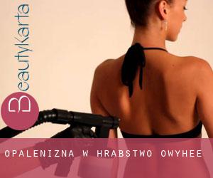 Opalenizna w Hrabstwo Owyhee Opalenizna w Hrabstwo Owyhee