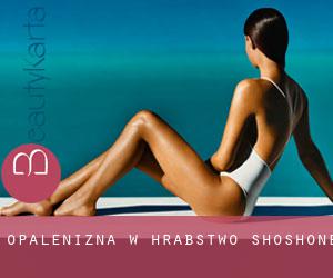 Opalenizna w Hrabstwo Shoshone Opalenizna w Hrabstwo Shoshone