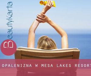 Opalenizna w Mesa Lakes Resort