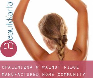 Opalenizna w Walnut Ridge Manufactured Home Community