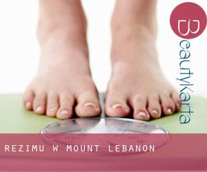 Reżimu w Mount Lebanon