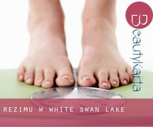 Reżimu w White Swan Lake