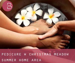 Pedicure w Christmas Meadow Summer Home Area