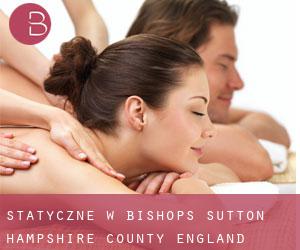 statyczne w Bishops Sutton (Hampshire County, England)