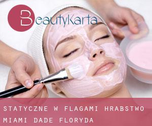 statyczne w Flagami (Hrabstwo Miami-Dade, Floryda)